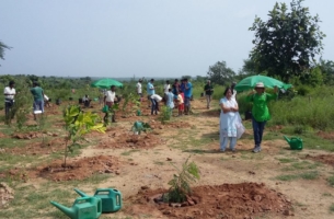 Independence Day Planting at ABDP
