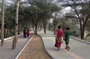 Gurgaon plans to restore dying 5-km long Chakkarpur bundh by planting a forest