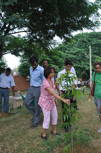 2011-8-11 Planting at the NH8 Greenbelt on the 11th August. This area was sponsored by DLF. 1