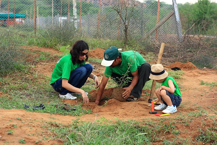 2012-8-1 KPMG planting at Aravali Biodiversity Park