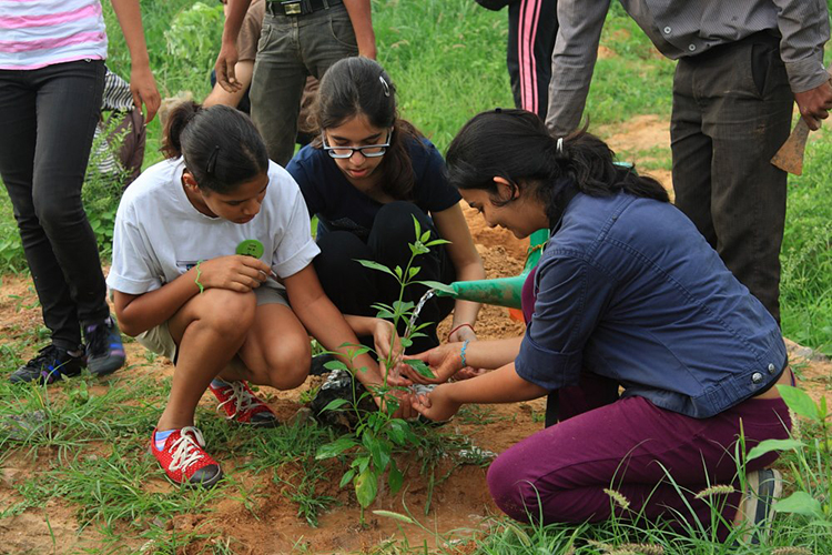 2012-8-15 Planting during the Independence Day Celebrations at BDP
