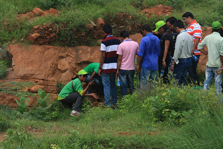 2013-8-23 Over 1600 employee from the Genpact team planted 3300 saplings