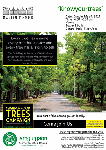 2014-5-4 Another fun tree walk this Saturday at Malibu Town. See you there...you will see your neighbourhood trees in a whole new light....