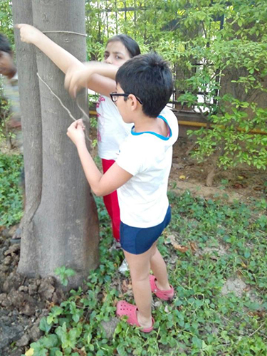 2015-4-28 Tagging their chosen trees— at Close - North, Nirvana Country.