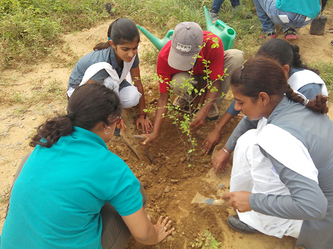 2015-8-21 COLT planting with their sponsored School Students