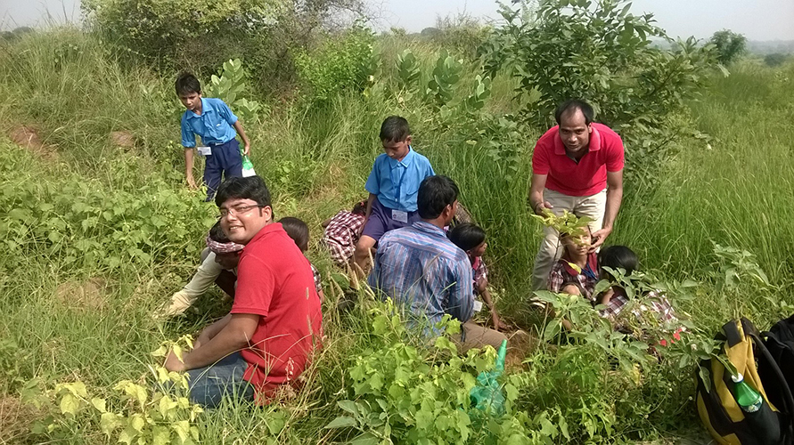 2015-8-28 HDFC Life planted 1700 saplings at BDP this monsoon