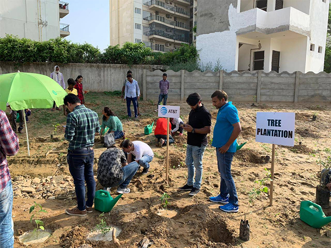 2019-7-19 AT_T planting at Badshahpur